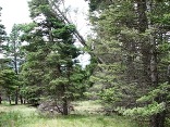 Lot 1318 AF Chalets Unit 2